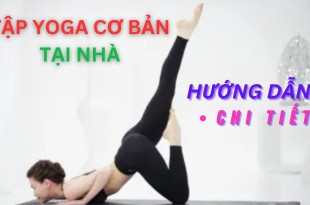 Tap-Yoga-Co-ban-tai-nha-anh00